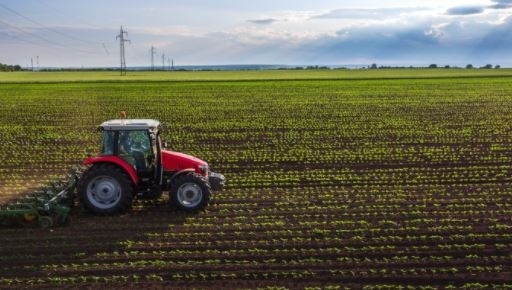 През последните 10 години: Използваната земеделска площ се е увеличила с 9 на сто